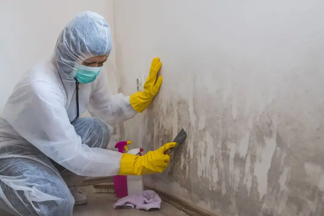 water damage restoration service Spanish Point